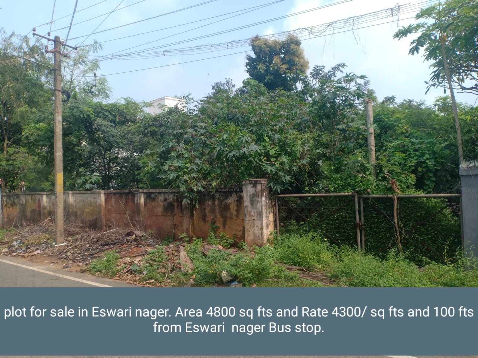 Plot for sale